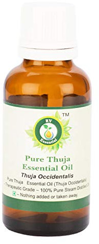 R V Essential Pure Thuja Essential Oil 10ml (0.338oz)- Thuja Occidentalis (100% Pure and Natural Steam Distilled)