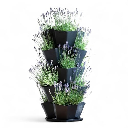 Nicoman 5-Tier Stackable Vertical Garden Planter, Black Hexagonal Plant Tower with Drainage System, Multi-layer Pot for Herb, Flower, Tomatoes, Vegetable Bedding, Indoor Outdoor Vertical Garden Tower