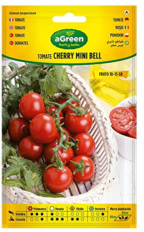 GRAINES DE TOMATES COCKTAIL SUR CHERRY