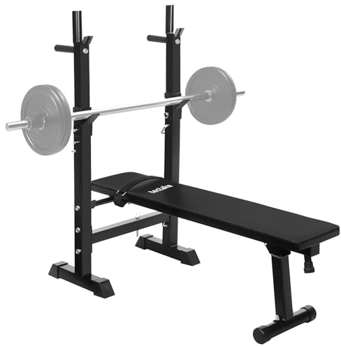 tectake® Banc de Musculation pliable 118x55x106 cm, Support haltères, Banc abdominaux, bras & épaules, Station de dips, Appareil musculation, Sport Maison, Fitness, Rembourrage épais, Antidérapant