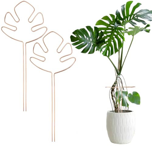 VGECEE Lot de 2 Tuteurs pour Plantes Grimpantes Monstera, Support de Tige Polyvalent Tuteur Plante Grimpante Intérieur Support pour Plantes Grimpantes Metal Tuteur Doré pour Monstera, Pot et Fleurs