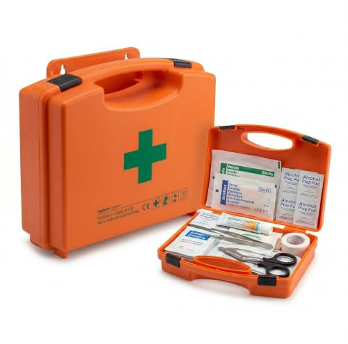 Lemag Cassetta Primo Soccorso Gruppo C – Conforme D.Lgs. 81/2008 D.M. 388/2003 – Kit Pronto Soccorso Aziendale per Aziende fino a 3 Lavoratori – Attacco a Parete in Polipropilene | Made in Italy