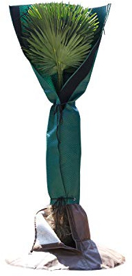 Bio Green Stammschutz für Palmen und Bäume | schützt vor Wind, Regen, Feuchtigkeit, Schnee und Frost | atmungsaktiver Vliesmantel für Stämme bis Ø 35 cm | 150 cm hoch