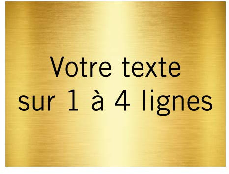 Plaque Gravée Avec Kit de Fixation Personnalisable - Texte de Votre Choix Entre 1 à 4 Lignes - 200 x 150 mm - Or Brossé Avec Écriture Noir