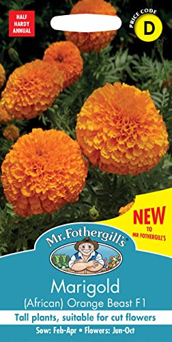 Mr Fothergill's -Marigold Orange Beast F1