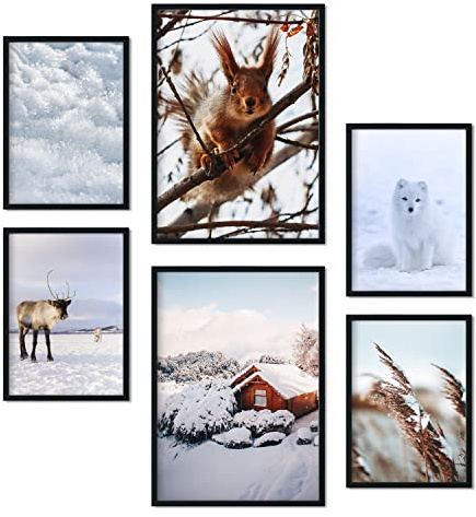 Nacnic - 6 djur- och snöfotograferingsaffischer - Moderna dekorativa tryck för hemvägg, rum, collage, väggmålning - A3 och A4 - Oramad