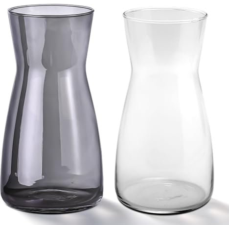 RNHDLY 2 vasi per fiori in vetro, 20 cm, in vetro trasparente, per decorazione da tavolo, set di vasi estetici, per tulipani, rose, fiori secchi (trasparenti e grigio fumo)