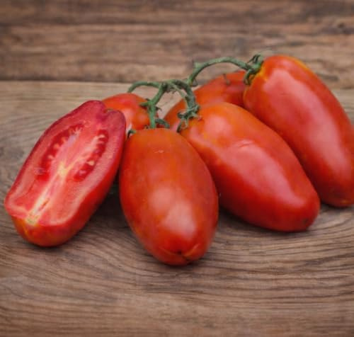 Semi Pomodoro San Marzano Gigante – 150 Semi – Varietà Tradizionale da Orto – Pomodori Allungati per Salsa – No OGM – Alta Produzione, Facili da Coltivare anche in vaso