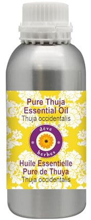 Deve Herbes Pure Thuja Essential Oil (Thuja occidentalis) Non-Sticky | Non-Greasy | Strong Woody Aroma | for Aromatherapy, Massage, Diffuser & Blends 300ml