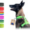 Bub's® Hundegeschirr gegen Ziehen für große Hunde, H-Form – Dog Harness (groß, grün)