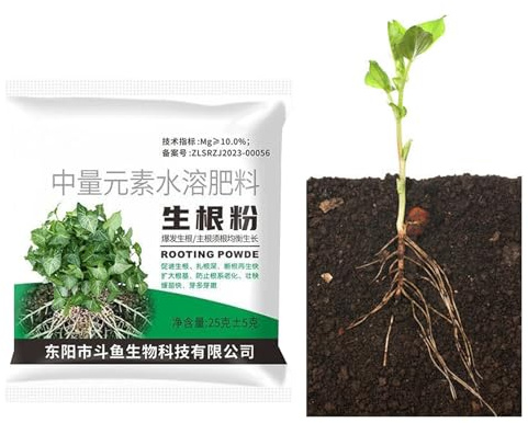 Radicante | Fertilizzante Per Le Talee Da Giardino Per La Radicazione | Polvere Radicante Per Le Piante,per Giardino Agricoltura Alberi da Frutto Patio Prato Terreno Piante da Interno Casa