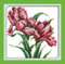 Kreuzstich Stickpackungen Vorgedruckt, OWN4B Orchideen Blumen Bilder 11CT 8,7x8,7 Zoll DIY Stickpackung Set