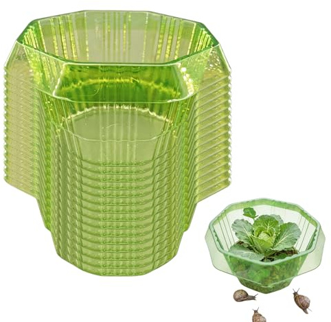 GOEDCH 22 stycken grön snigelkrage skydd: Mycket transparent PET snigelskyddsring effektiv, oktagonal plast snigelskydd, salladsväxter skydd, för grönsaksträdgård och rabatter 22 cm × 13 cm