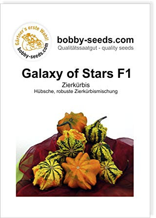 Galaxy of Stars F1 Zierkürbis von Boby-Seeds, Portion