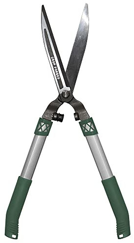 Ciseaux d'élagage pour détails - Outil professionnel de jardinage Coupe-haie - Ciseaux idéaux pour plantes, fleurs, jardin et potager - Coupe maximale 6 mm avec butées amortisseurs - Biotop