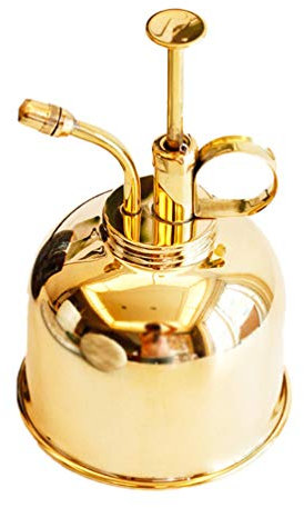 BESPORTBLE Retro Watering Can Pot Brass Water Mist Spray British Ornament Essential Plant Lover's Tool