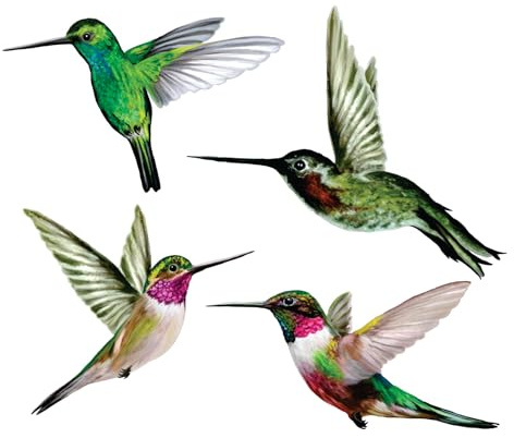 4-Pack Hummingbird Window Clings – Anti-Collision Bird Strike Decals for Glass Safety – Static Cling, Double-Sided, 100% Reusable & Made in USA (Realistic Multi-Color)