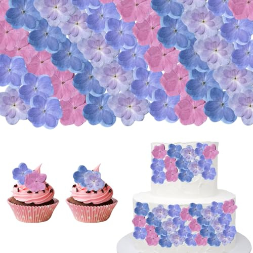 CENCERY 60 Uds. Flores Secas Naturales, para Decoración de Pasteles, Cupcakes, Bodas, Cumpleaños y Fiestas (Hortensias de Doble Pétalo)