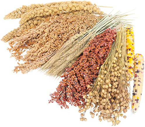 Sprays Set = Wheat + Flax + Yellow Millet + Panicle Millet + Corn Cob + Sorghum Stems, Pet Habitat Bedding Decor, Natural Hamster Chews Accessories, for Gerbil, Mice, Guinea Pig, Chinchilla, 6 Sprays