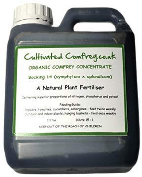 Natural plant feed - Comfrey Concentrate - Organic liquid fertiliser (1 litre)