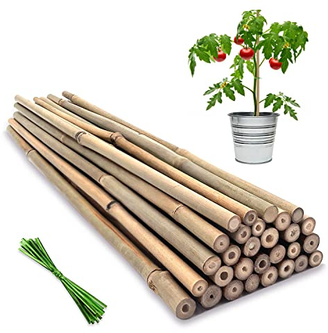 Plant Stakes,18IN Natural Garden Bamboo Sticks, 20Pcs Plant Support Stakes