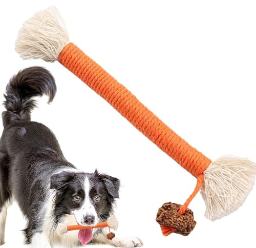 Yhsioaklo Silvervine Jouet pour Chat – Bâtons naturels pour Le Nettoyage des Dents de Chatons | Bâtons mélangés de Menthe à Chat à mâcher pour Chats, Chatons