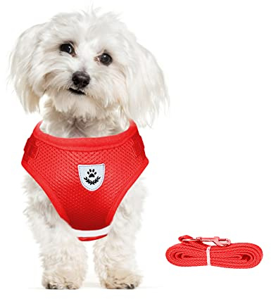 meioro Arnés Perro Pequeños con Correa,Perros Arneses Chaleco Reflectante Ajustable Antitirones Transpirable Cómodo para Gatos Cachorros Mascotas,Malla Suave Acolchado,Correr (M, Rojo)