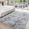 Cinknots Bereich Teppiche Fluffiger Teppich Modernes Wohnzimmer Schlafzimmer Baby Schlafsaal Weiche rutschfeste Große Indoor Shaggy Teppich Zimmer Home Dekor (Grau Weiß, 160x200cm)