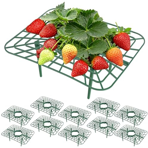 Staranry 10 Pezzi Di Protezione per Fragole, Vasi per Fragole, Quadrati Riutilizzabili Impermeabili In PP Supporto per Piante, per Protezione Delle Piante Di Fragole, Dalla Marciume e Dal Muffa