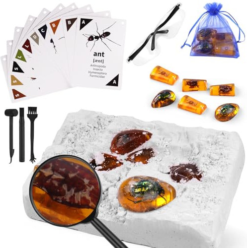 HOTUT Bernstein Ausgrabungs Set, 24 Stück Ausgrabungsset für Kinder mit 6 Künstliche Insektenfossilien, Fossilien Ausgrabungs Set, Experimentierset Edelsteine Ausgraben für Kinder Ab 6 7 8 9 10