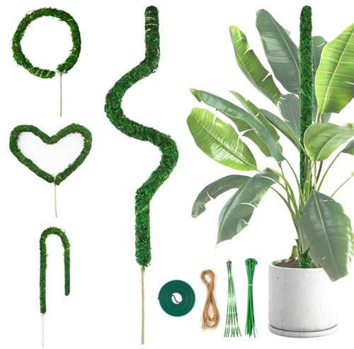Yanghad Tuteur Monstera, 110cm Tuteur Monstera pour Plantes, Grimpante Support pour Plante, Tuteur Plante Interieur avec Accessoires, Convient à la Croissance de Grimpantes