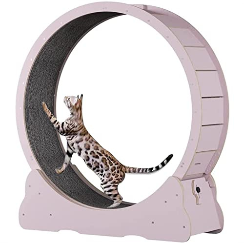 Löpband för katter, Naturlig träspinnhjul for kattträning for inomhuskatter(Pink,XL)