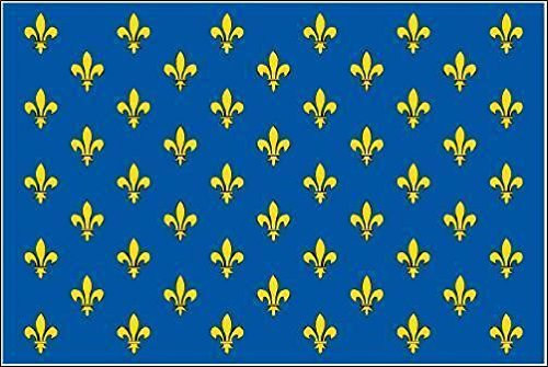 U24 Drapeau du Lys bannière Bleu 90 x 150 cm