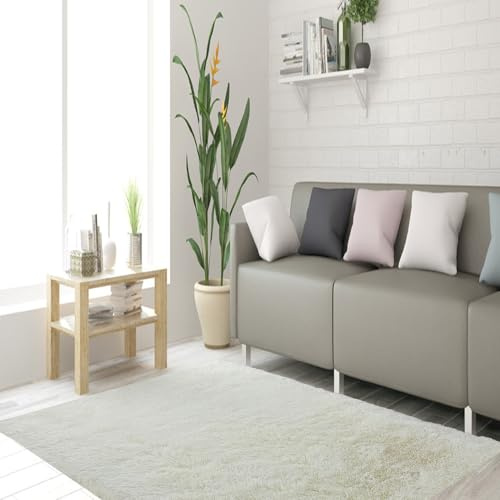 STGAO Tappeto a Pelo Alto 80 x 190 cm Antiscivolo Tappeto Salotto Moderno Peluche Rettangolare per Soggiorno, Camera da Letto, Ufficio,Esterni, Corridoio, Bianco