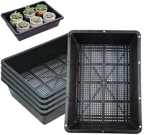 BeGrit 5 Pezzi Vassoi Semina Plastica 32 x 23 x 7.5 cm Germinazione Semina Vaschette Semenzaio vassoio per microgreens rettangolari semi in plastica per Serra Idroponica Giardino Verdura Frutta Seme