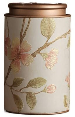 Mini lata vacía para té, tarros de té, café y azúcar, recipientes de cocina, para té, café, azúcar, frijoles (Blanco-L)