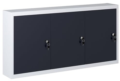 Rantry Montierbarer Metall-Werkzeugschrank mit 3 verstellbaren Böden und abschließbaren Türen - Grau/Schwarz Model145353