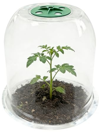 Copertura Per Protezione Piante Dal Copertura Trasparente Contro La Brina
