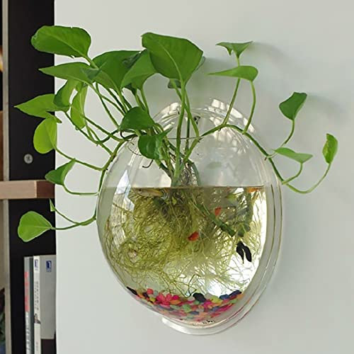 Wall Mounted Flower Pot - 5.9'' Clear Acrylic Round Vase Decoration,Wall Hanging Mount Fish Bowl Aquarium Decorative Plant Pot Hanging Hydroponic Pot Transparent 15cm