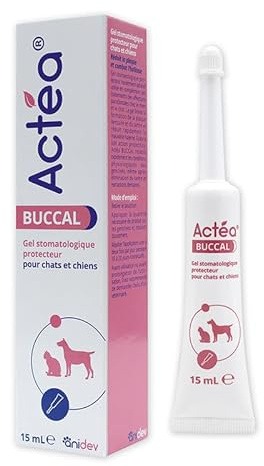 Anidev Actéa Buccal - Gel apaisant gencives Chien et Chat - Hygiène bucco Dentaire - Limite Plaque tartre et Mauvaise haleine - Effet apaisant réparateur et Protecteur 15 ML