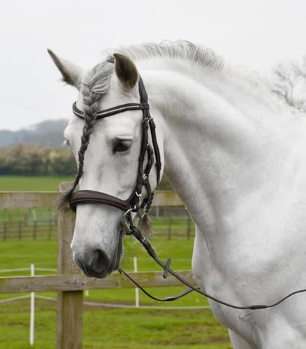 Rhinegold Anatomical Cavesson Bridle-Full-Havana