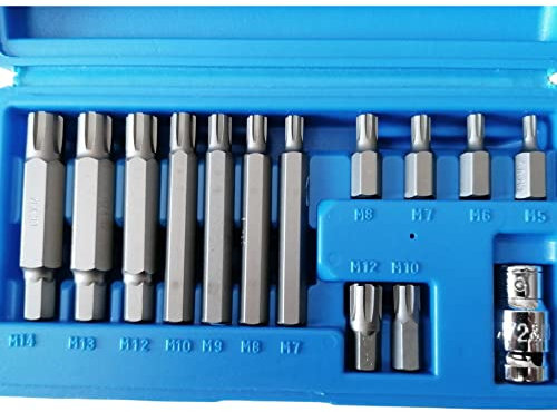 Juego Puntas Ribe 10mm. 14 Herramientas en Estuche