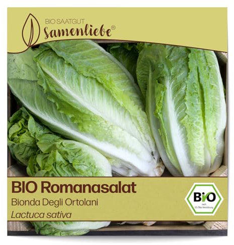 Samenliebe BIO Romanasalat Samen Bionda Degli Ortolani knackiger Romasalat großer Salat grün 500 Samen samenfestes Gemüse Saatgut für Gewächshaus Freiland und Balkon BIO Gemüsesamen