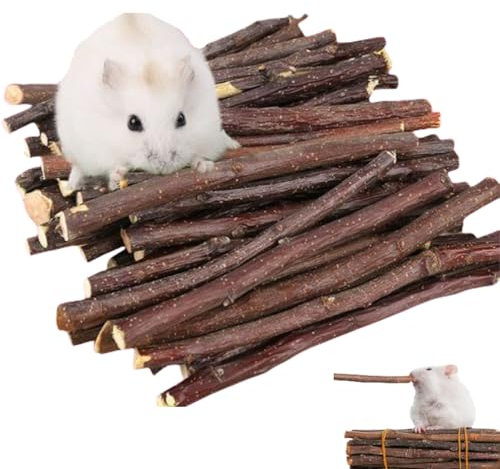 BAOSROY Hamster Kauspielzeug, Kaninchen-Kauspielzeug,Holz Kaustock, Nager Apfel Holz Zum Knabbern, Natürlichem Apfelstab, Kaustangen, Backenzahn Und Zähneknirschspielzeug Für Kleine Haustiere (12pcs)