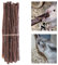 BAOSROY Chinchilla Apfelstäbchen,Apfelstäbchen,Kaninchen Apfelstäbchen,Apfel Sticks für Haustiere,Natürliche Apfelstäbchen Hamster Kauspielzeug,für Chinchilla Meerschweinchen Hamster Kaninchen,12PCS