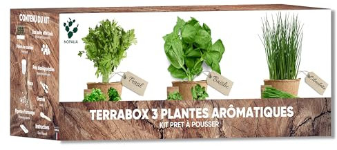 NOPALIA® Kit Herbes Aromatiques & Aromates - Mini Potager Intérieur & Extérieur - Graines Biologiques (Basilic, Persil, Ciboulette) - Idée Cadeau noel, Cuisine - Produit Écologique - Made in France