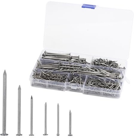 APOMOONS Set ci 700 Chiodi In Acciaio In 6 Misure, da 20 mm A 50 mm Chiodini per Quadri Muro Chiodi Corti E Lunghi per Appendere Quadri, Fai Da Te, In Legno E Cemento, con Scatola di Immagazzinamento