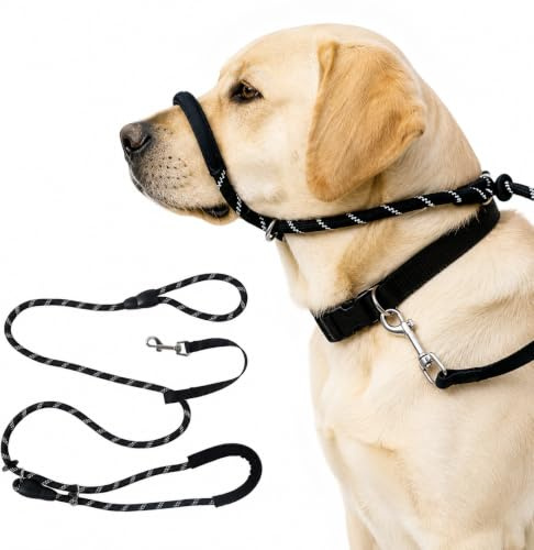 Guline Figure of 8 Dog Lead, Anti Pull Slip Lead for Medium and Large Dogs, No Pull Training Dog Head Collar with Soft Padded Nose Support & Reflective Stitching for Durable Rope Dog Walking (Black)