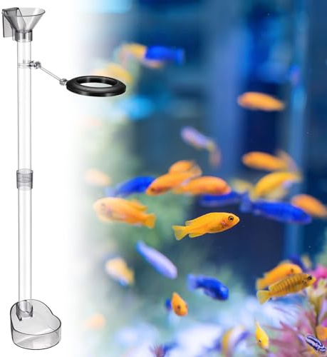 Cuenco de alimentación para camarones con tubo para acuario, juego de cuenco de alimento ajustable, accesorios de acuario acrílico con anillo de alimentación, anillo de alimentación para acuario