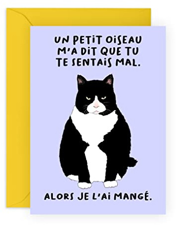 Central 23 Carte de vœux chat pour homme et femme – un petit oiseau m'a dit que tu te sentais mal - Carte de bon rétablissement - Carte d'encouragement pour les amis - livré avec autocollants